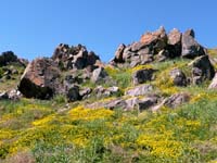 Corse rocher 001