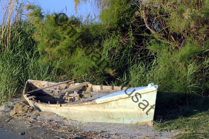 barque sur la rive 002