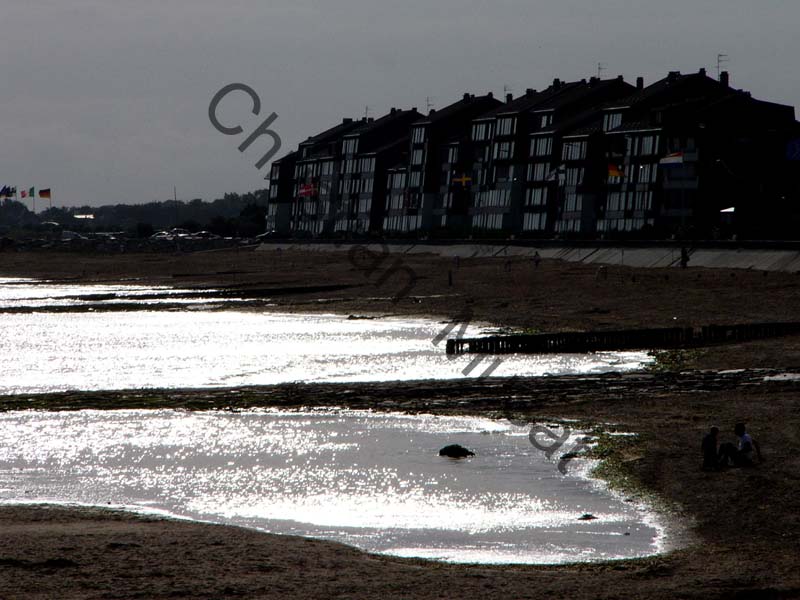 mer 006