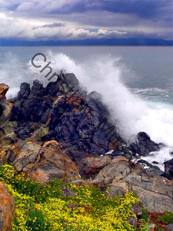 mer vague 002