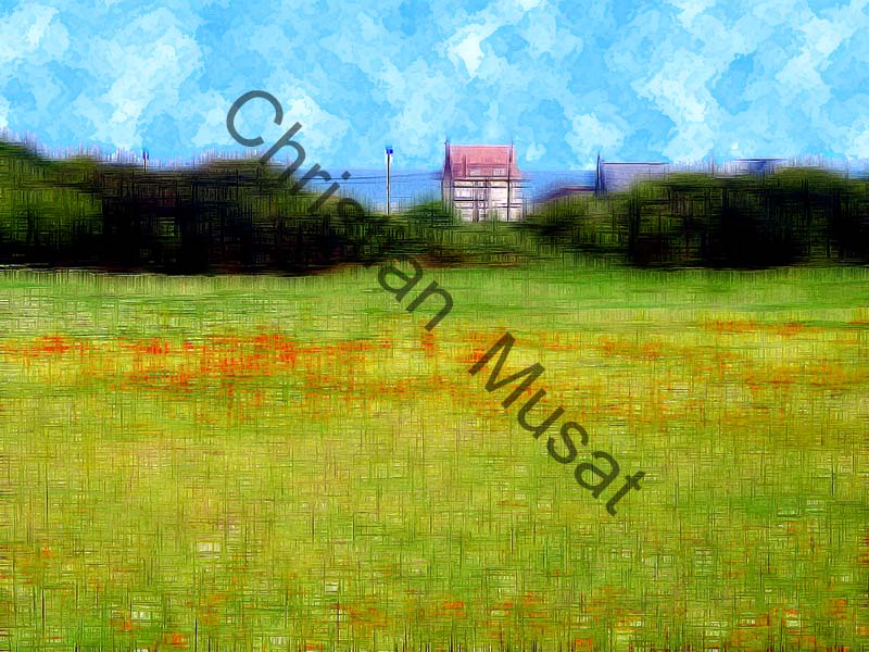 campagne effet 002