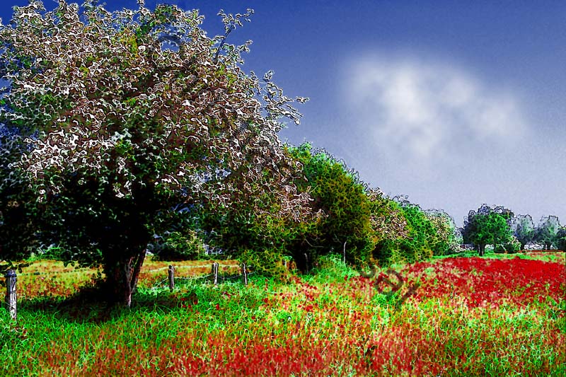 campagne effet 003