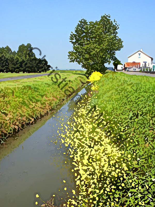 campagne effet 004
