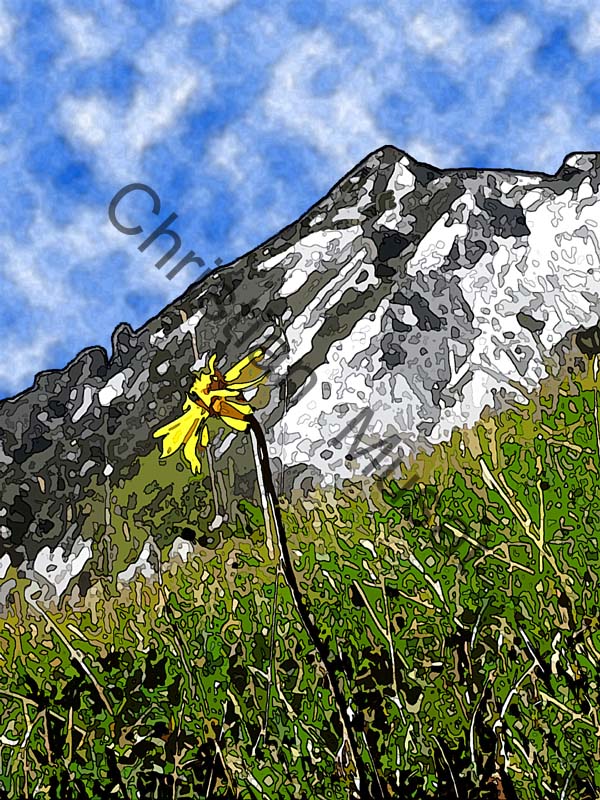 montagne effet 016