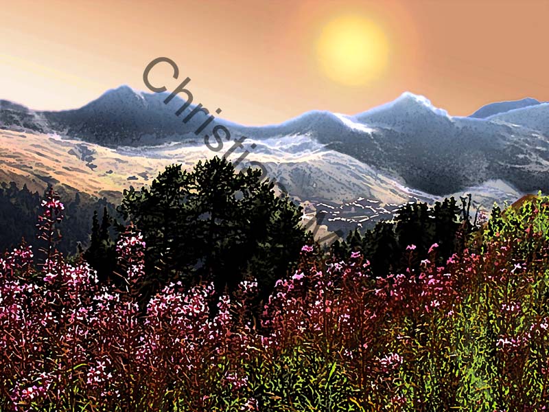 montagne effet 017