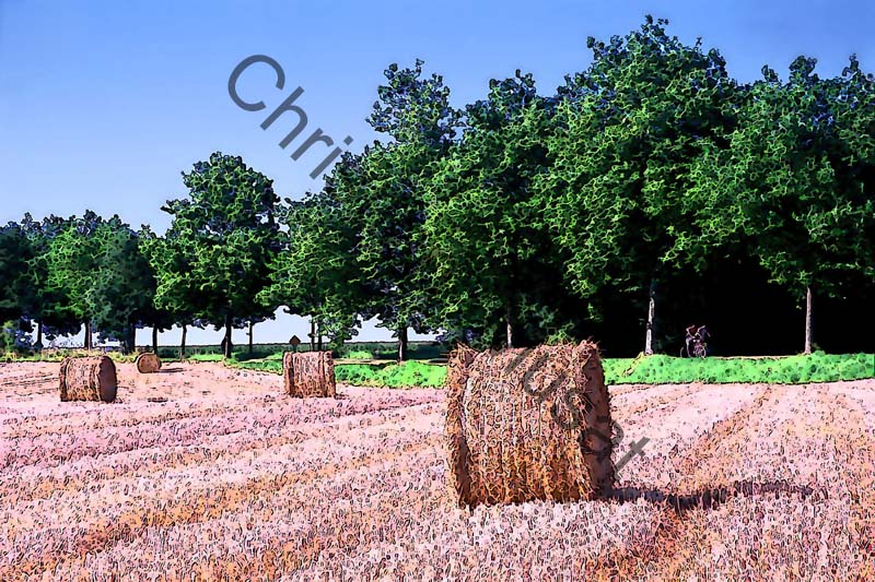paille effet 001