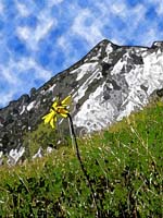 montagne effet 016
