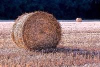 paille effet 002