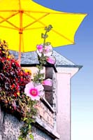 parasol effet 001