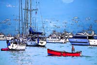 port effet 015