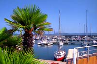 port effet 017